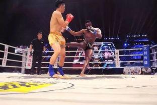 捷克卡尔散打资料,横扫欧洲的东方武术传奇