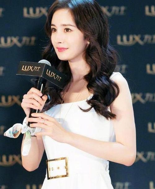 国内演员人气排行榜,流量担当与实力派齐聚